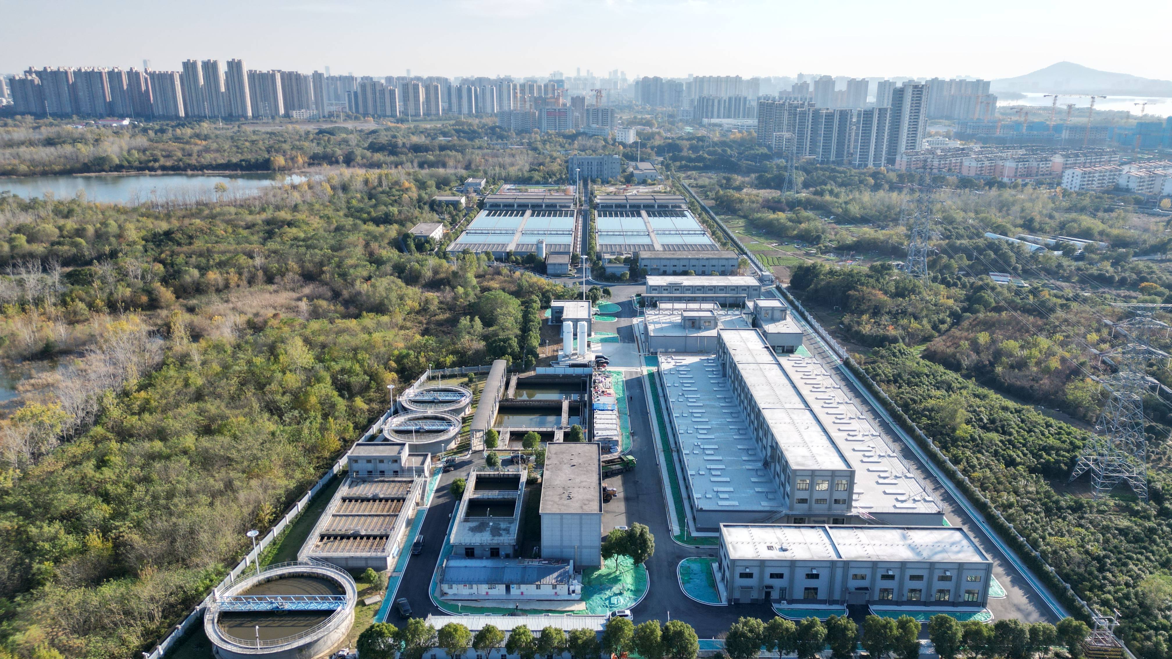 沧州市合肥专业企业价值增长(合肥市重点企业产业目录)