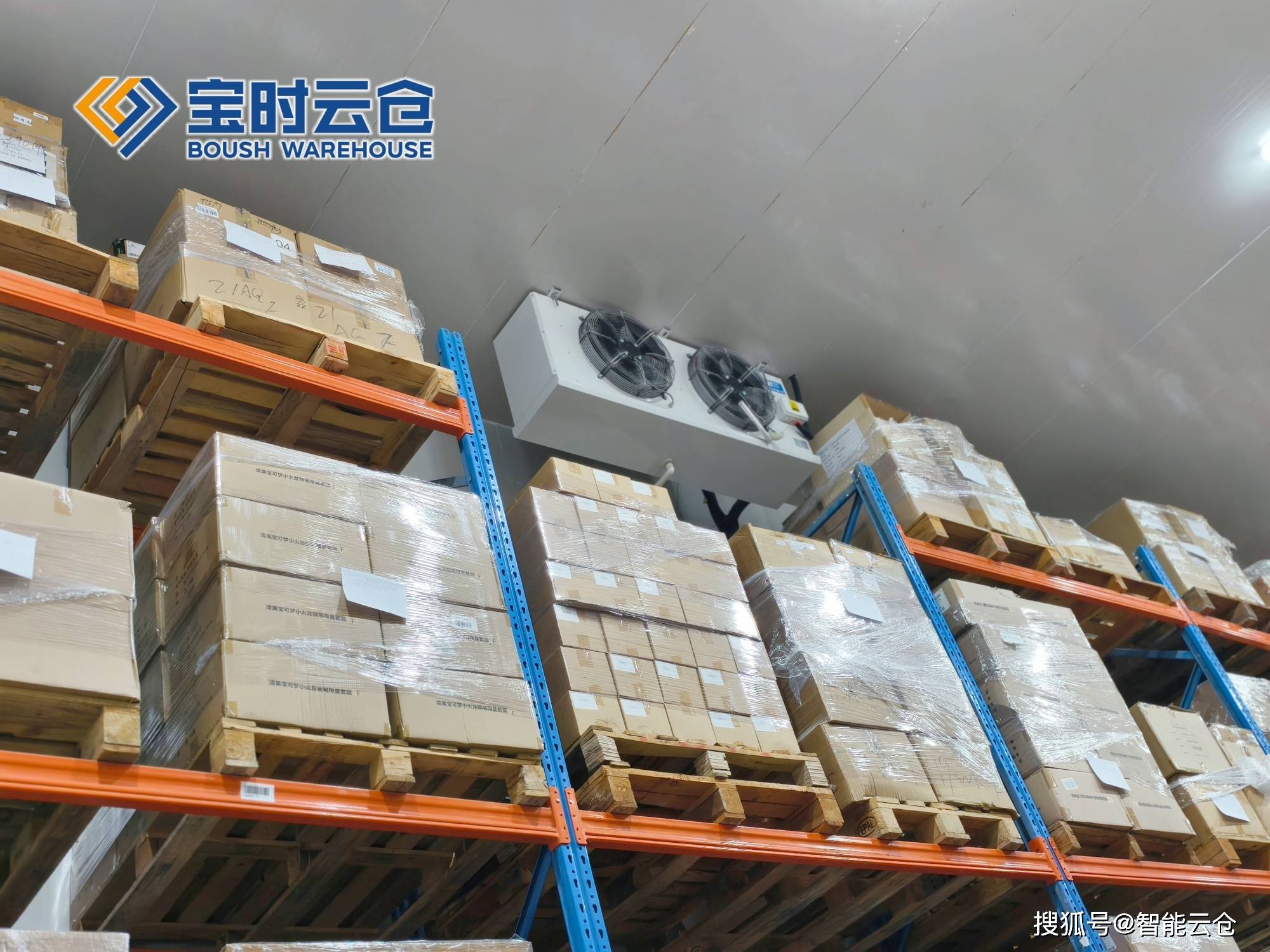 沧州市领先物流品牌升级(领先物流服务商是自营物流)