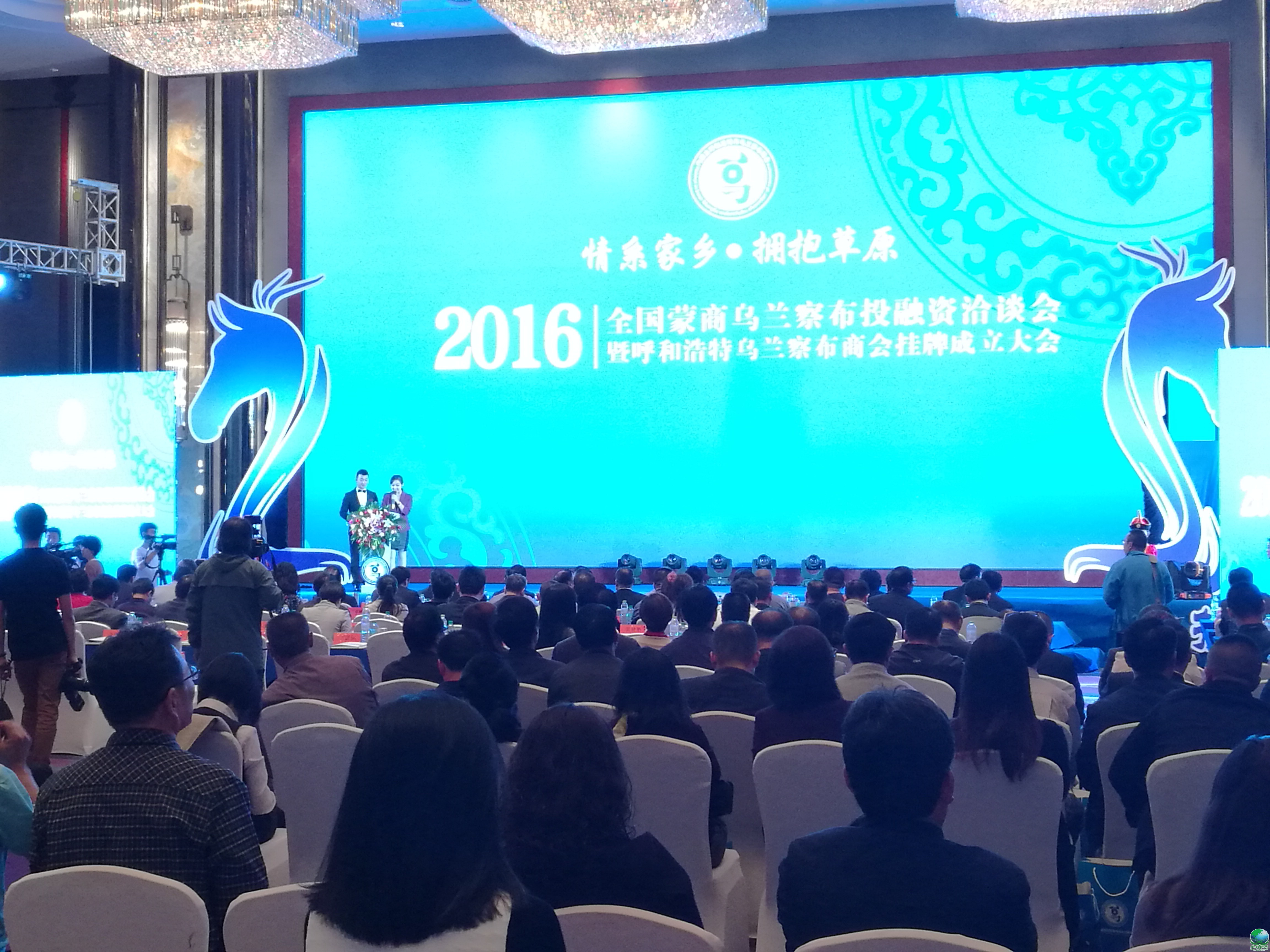 沧州市呼和浩特专业投融资服务(呼和浩特市投资有限责任公司)