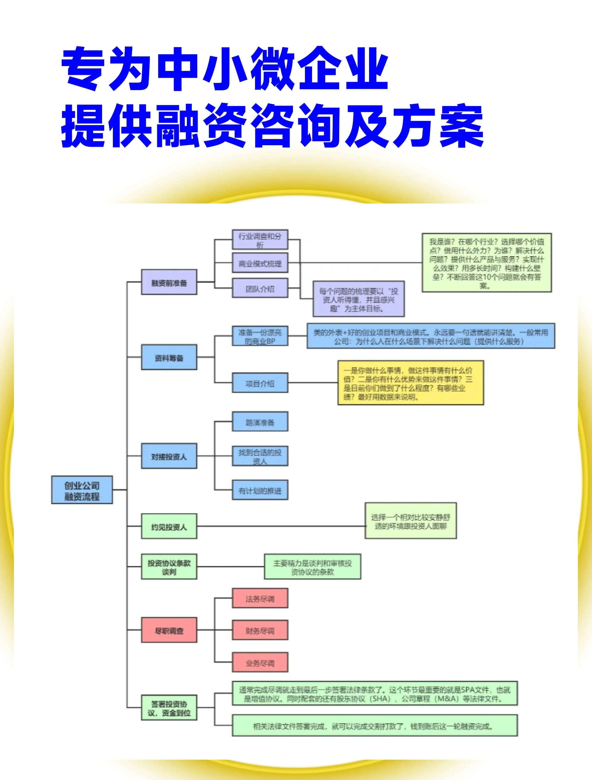 沧州市宠物企业资金管理(宠物管理机构叫什么)