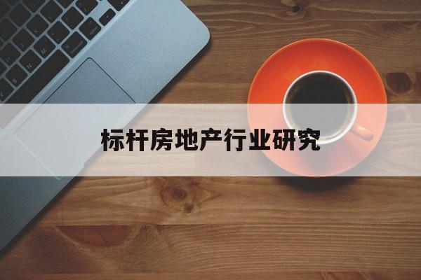 沧州市标杆房地产行业研究(房地产领域的标杆人物)