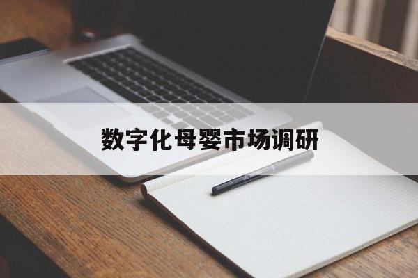 沧州市数字化母婴市场调研(数字化母婴市场调研报告)